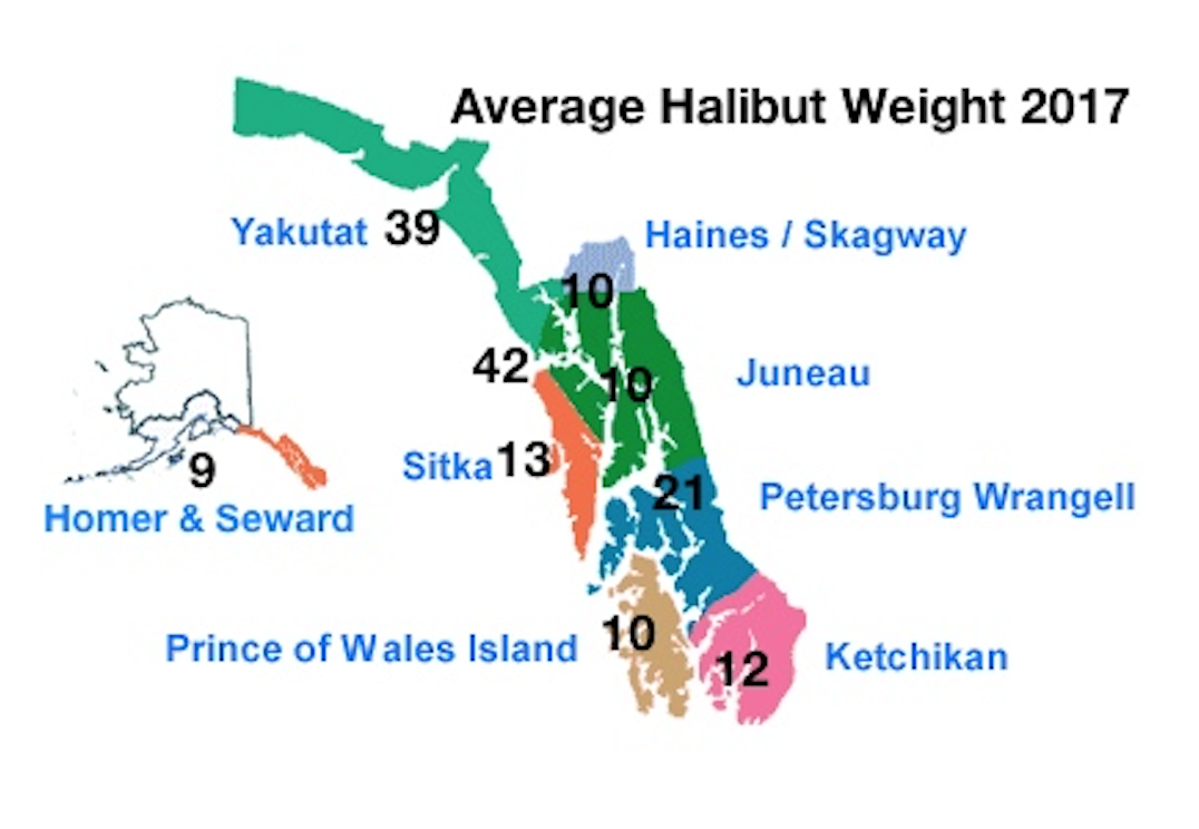 Halibut Weight Chart